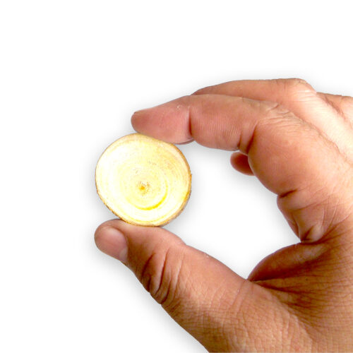 woodcookies_4 Wood Cookies - Branch Slices -Pack of 30